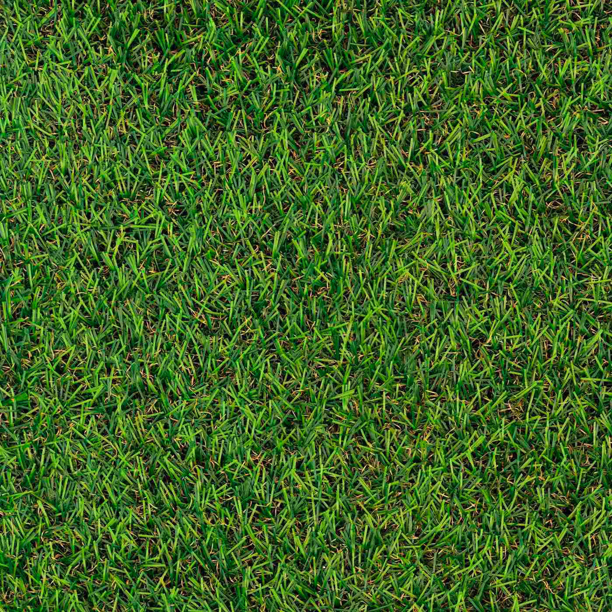 GYEPSZŐNYEG   - Basics, textil (200/400cm) - Boxxx