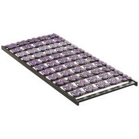 TELLERLATTENROST 80/200 cm  - Wengefarben/Violett, Basics, Holz (80/200cm) - MID.YOU