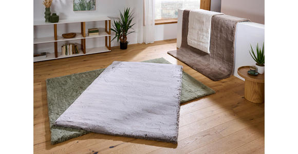 HOCHFLORTEPPICH 120/160 cm Lhasa Hellbraun  - Hellbraun, Design, Textil (120/160cm) - Novel