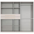 KLEIDERSCHRANK  in Graphitfarben, Grau, Sahara  - Graphitfarben/Grau, Design, Glas/Holzwerkstoff (225/208/65cm) - Carryhome