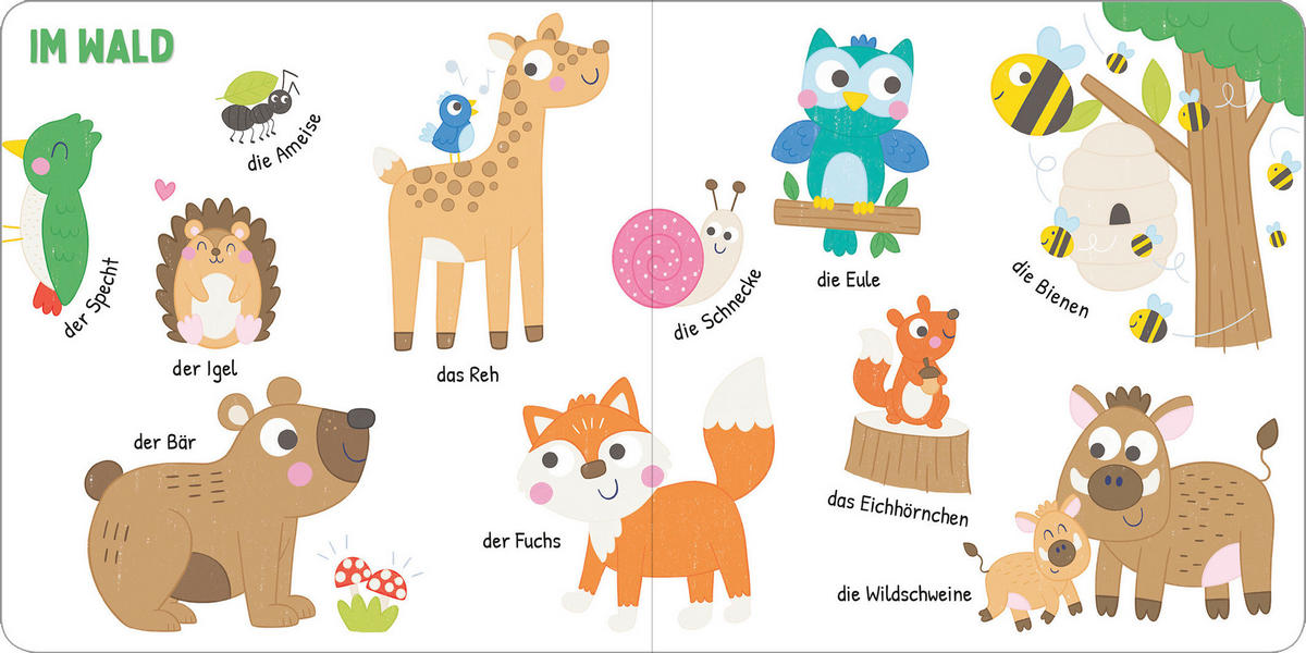 BUCH Ich kenne die Tiere  - Multicolor, Basics, Papier (16/16/1cm)