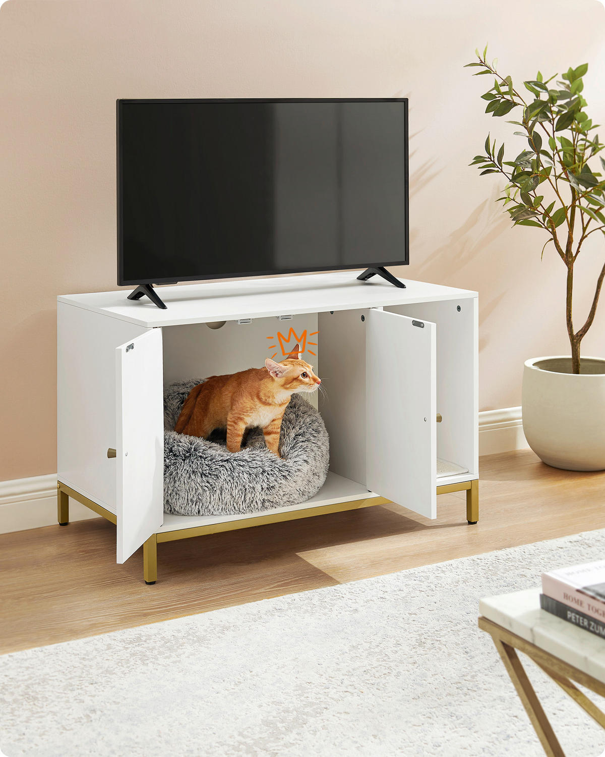 KATZENTOILETTE - Goldfarben/Weiß, Trend, Holzwerkstoff/Metall (80/55/50cm) - Boxxx