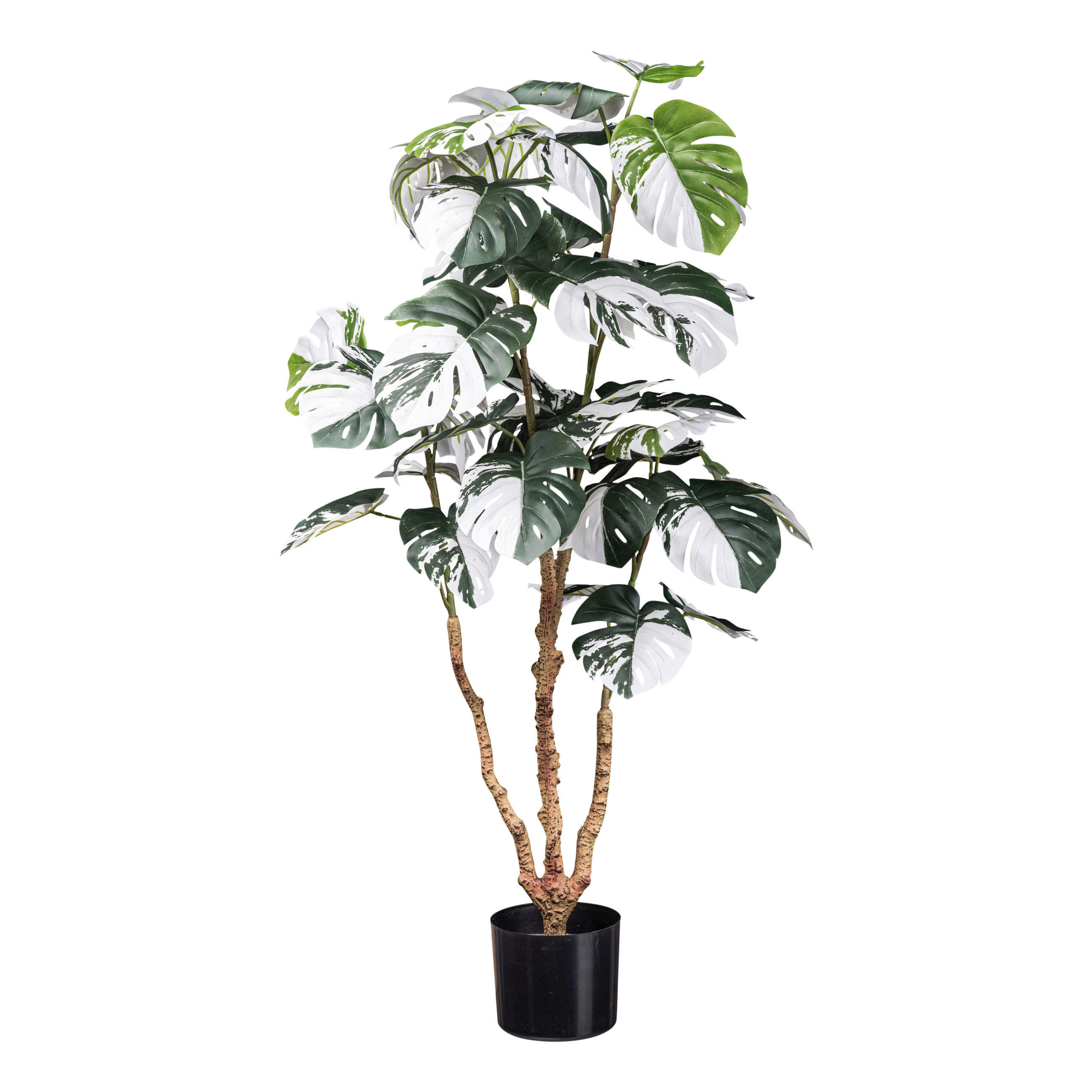 KUNSTPFLANZE Fensterblatt 110 cm  - Schwarz/Braun, Design, Kunststoff (110cm) - P & B
