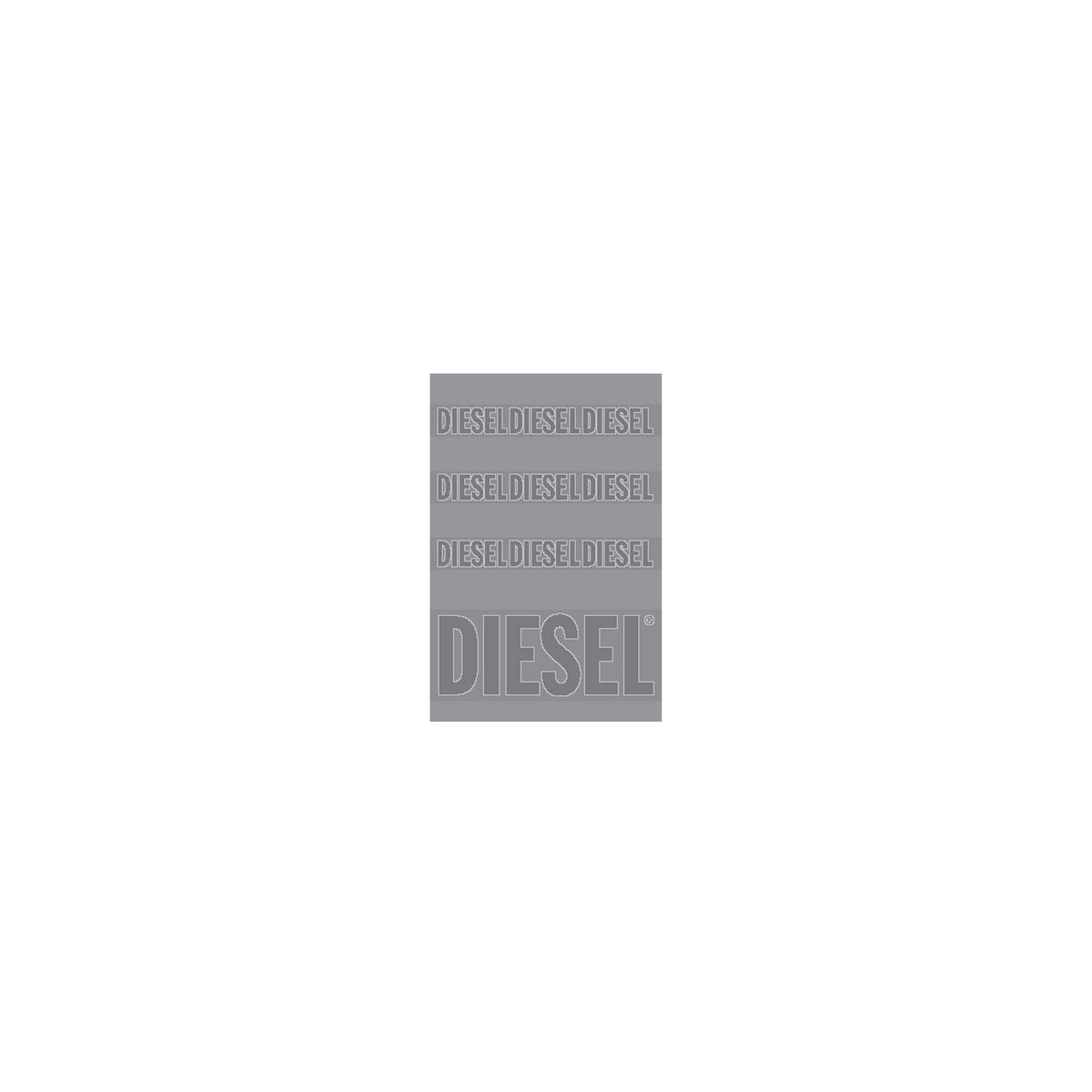 GÄSTETUCH RUNNING LOGO Grau 40/55 cm  - Grau, Basics, Textil (40/55cm) - Diesel