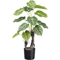 KUNSTPFLANZE Nephthytis 70 cm  - Schwarz/Braun, Design, Kunststoff (70cm) - P & B