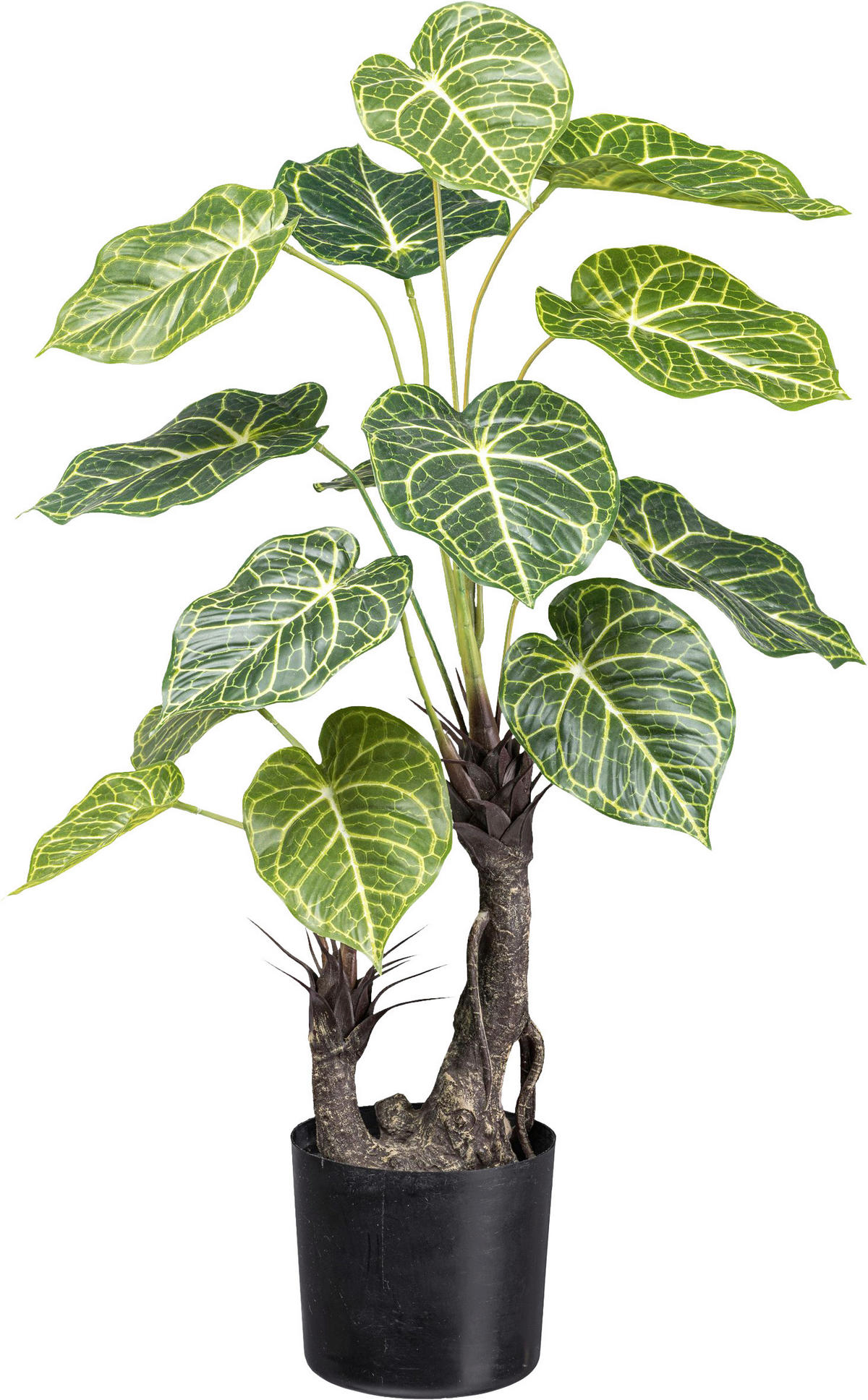 KUNSTPFLANZE Nephthytis 70 cm  - Schwarz/Braun, Design, Kunststoff (70cm) - P & B