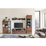 WOHNWAND  in Grau, Eichefarben  319,5/206,2/50 cm  - Eichefarben/Schwarz, KONVENTIONELL, Glas/Holzwerkstoff (319,5/206,2/50cm) - Cantus