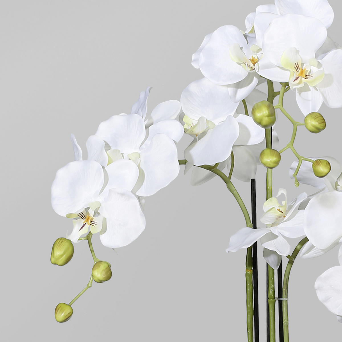 KUNSTBLUME Orchidee  - Weiß/Grün, Basics, Kunststoff (90cm) - P & B
