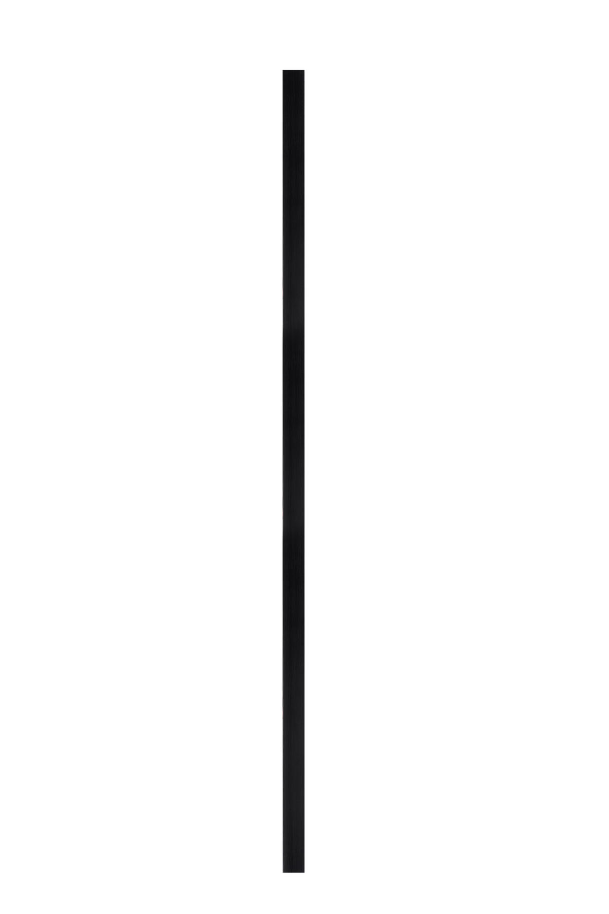 STENSKO OGLEDALO, 50/150/4,5 cm steklo  - zlate barve/črna, Konvencionalno, umetna masa/steklo (50/150/4,5cm) - MID.YOU