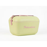 KÜHLBOX Limette 20 L  - Limette, Basics, Kunststoff (45,3/30,9/29cm) - Polarbox