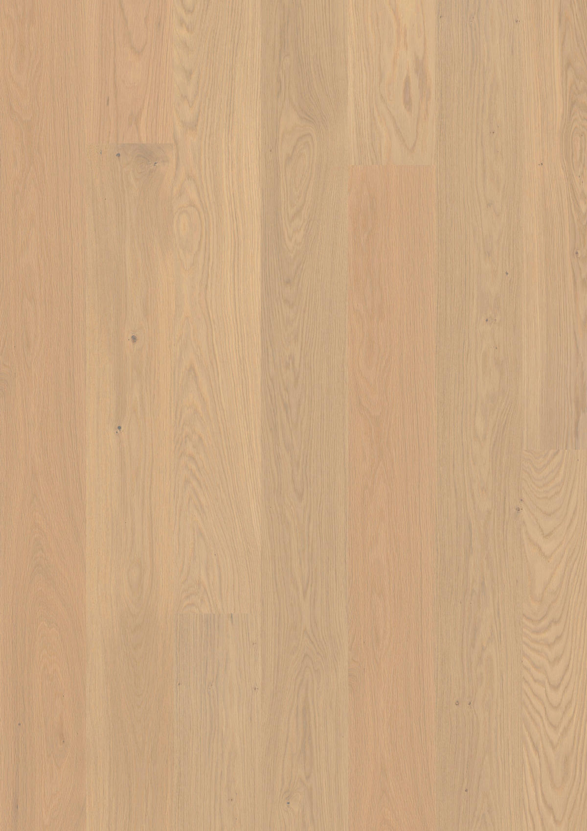 LANDHAUSDIELE Puristico Eiche weiss 100012501  per  m² - Design, Holz (220,5/17,6/1,3cm) - Tilo