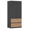 DREHTÜRENSCHRANK 91/197/54 cm 2-türig Grau, Eiche Artisan  - Eiche Artisan/Grau, MODERN, Holzwerkstoff (91/197/54cm) - Rauch Möbel