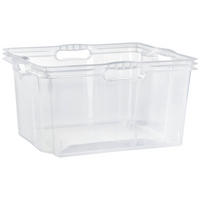 ÚLOŽNÝ BOX, plast - průhledné, Basics, plast (43/35/23cm)