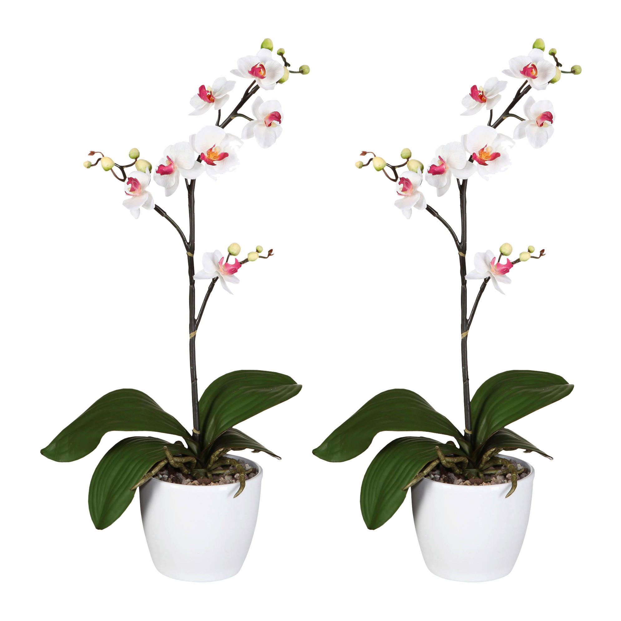 KUNSTPFLANZE Orchidee 55 cm  - Rosa/Weiß, Design, Keramik/Kunststoff (55cm) - P & B