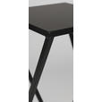 BLUMENSTÄNDER Metall  - Schwarz, LIFESTYLE, Metall (25/25/60cm) - Landscape
