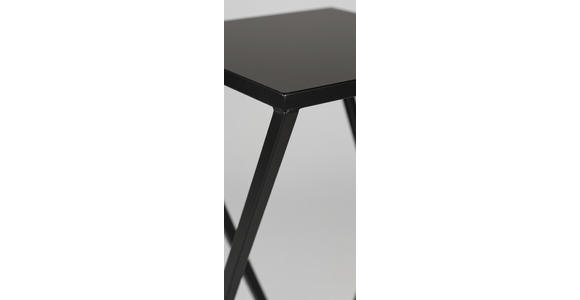 BLUMENSTÄNDER Metall  - Schwarz, LIFESTYLE, Metall (25/25/60cm) - Landscape