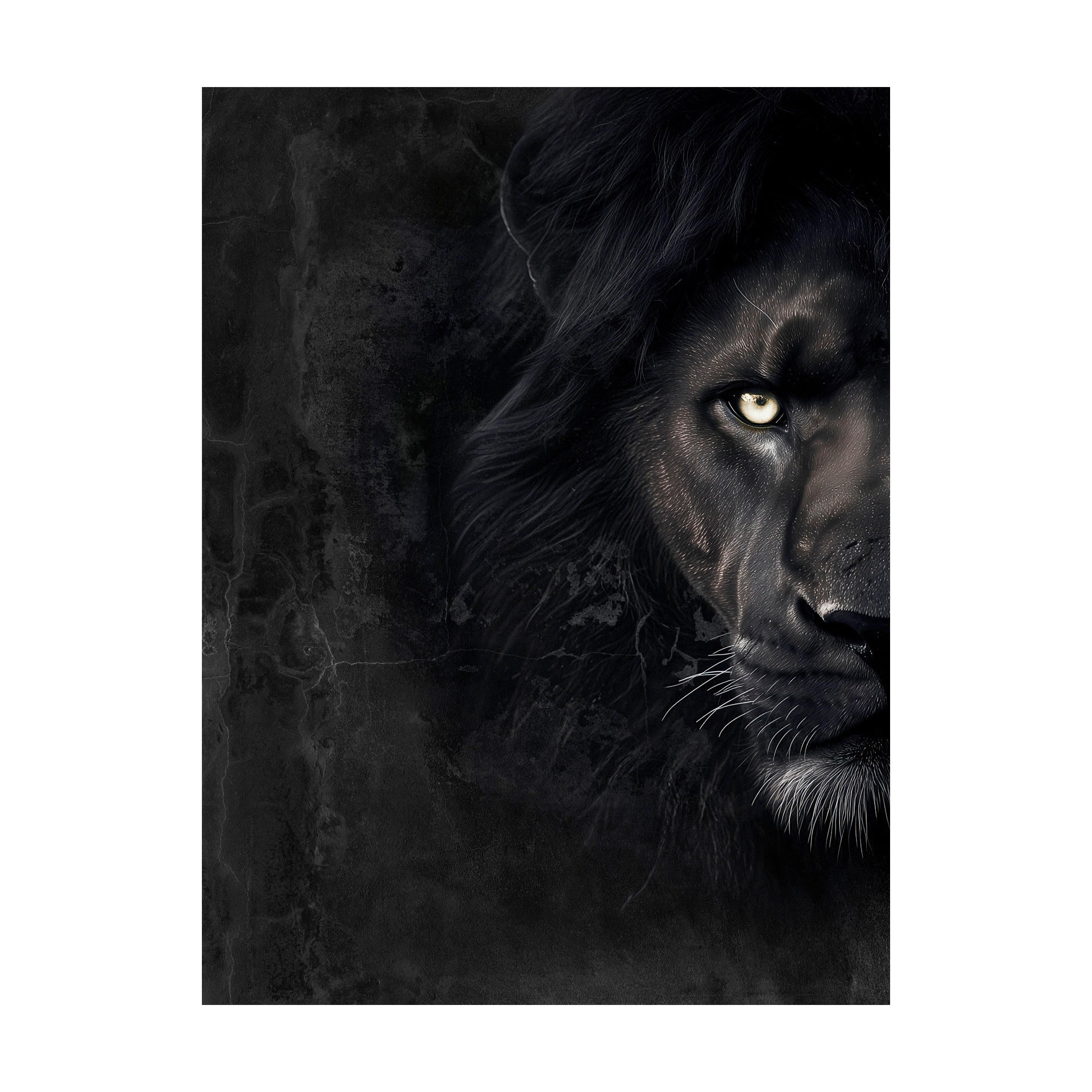 LEINWANDBILD Tiere 60/80 cm  - Multicolor/Schwarz, Basics, Holz/Textil (60/80cm)