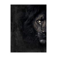 LEINWANDBILD Tiere 60/80 cm  - Multicolor/Schwarz, Basics, Holz/Textil (60/80cm)