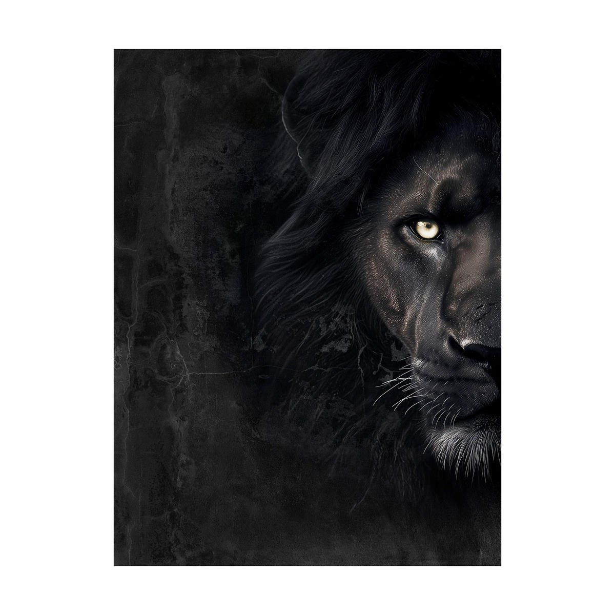 LEINWANDBILD Tiere 60/80 cm  - Multicolor/Schwarz, Basics, Holz/Textil (60/80cm)