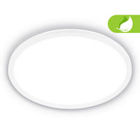 STROPNA LED-SVETILKA  TAVA A /3000 lm/4000 K// - bela, Basics, umetna masa (42/3cm)