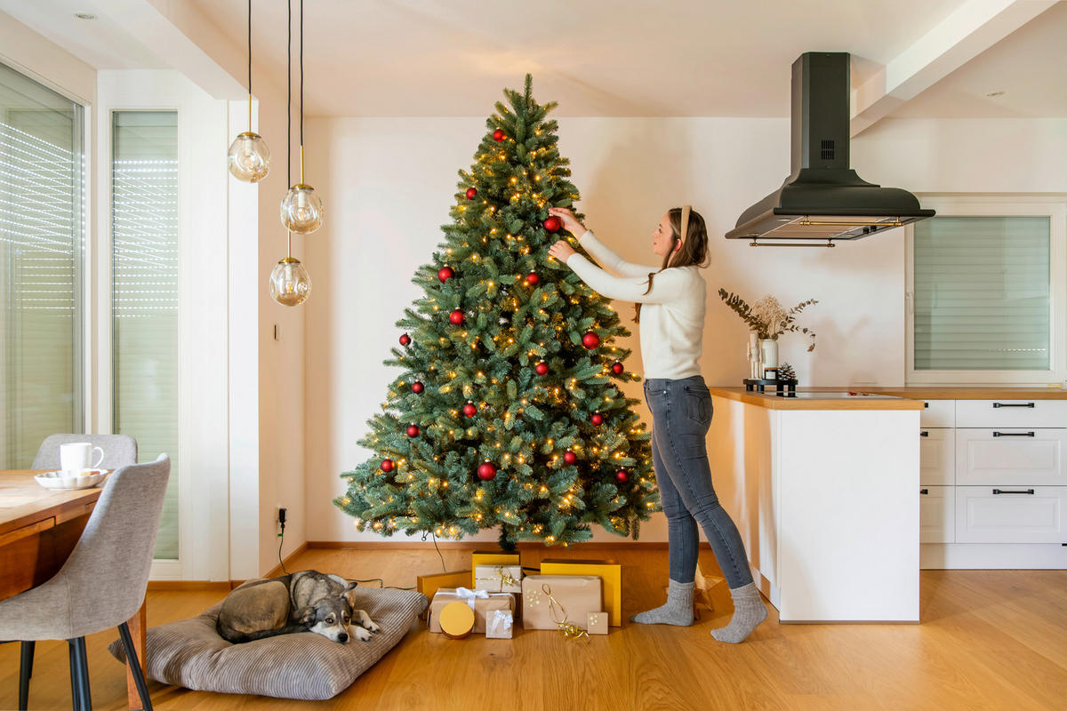 WEIHNACHTSBAUM 240 cm  - Waldgrün, Basics, Kunststoff/Metall (160/240cm)