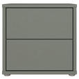 NACHTSCHRANK 50/48/42 cm  - Salbeigrün/Silberfarben, Trend, Holzwerkstoff/Kunststoff (50/48/42cm) - Carryhome