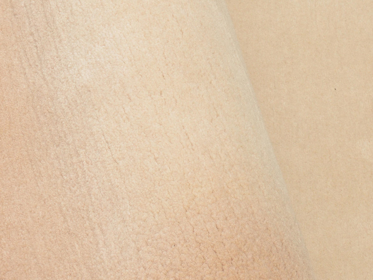 WOLLTEPPICH 250/300 cm Beige  - Beige, Basics, Textil (250/300cm) - Cazaris