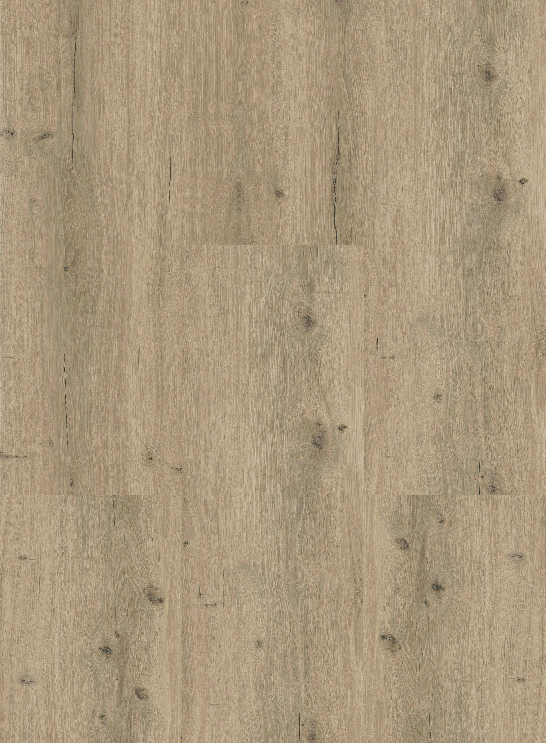 Vinylboden Eiche Weiz  per  m² - Design, Holzwerkstoff (123.5/23/0.98cm) - Venda