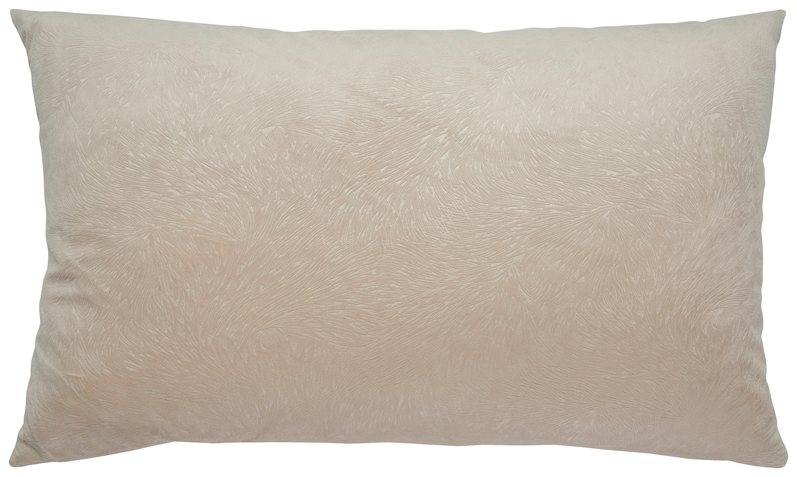 OKRASNA BLAZINA  DAYARA   40/60 cm          - bež, Basics, tekstil (40/60cm) - Esposa