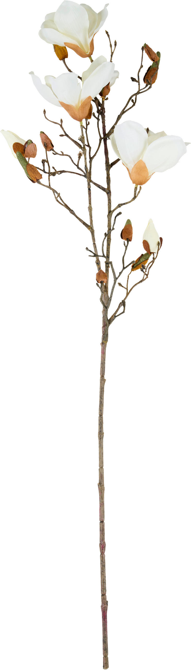 KUNSTBLUME - Creme/Braun, Basics, Kunststoff/Textil (87cm)