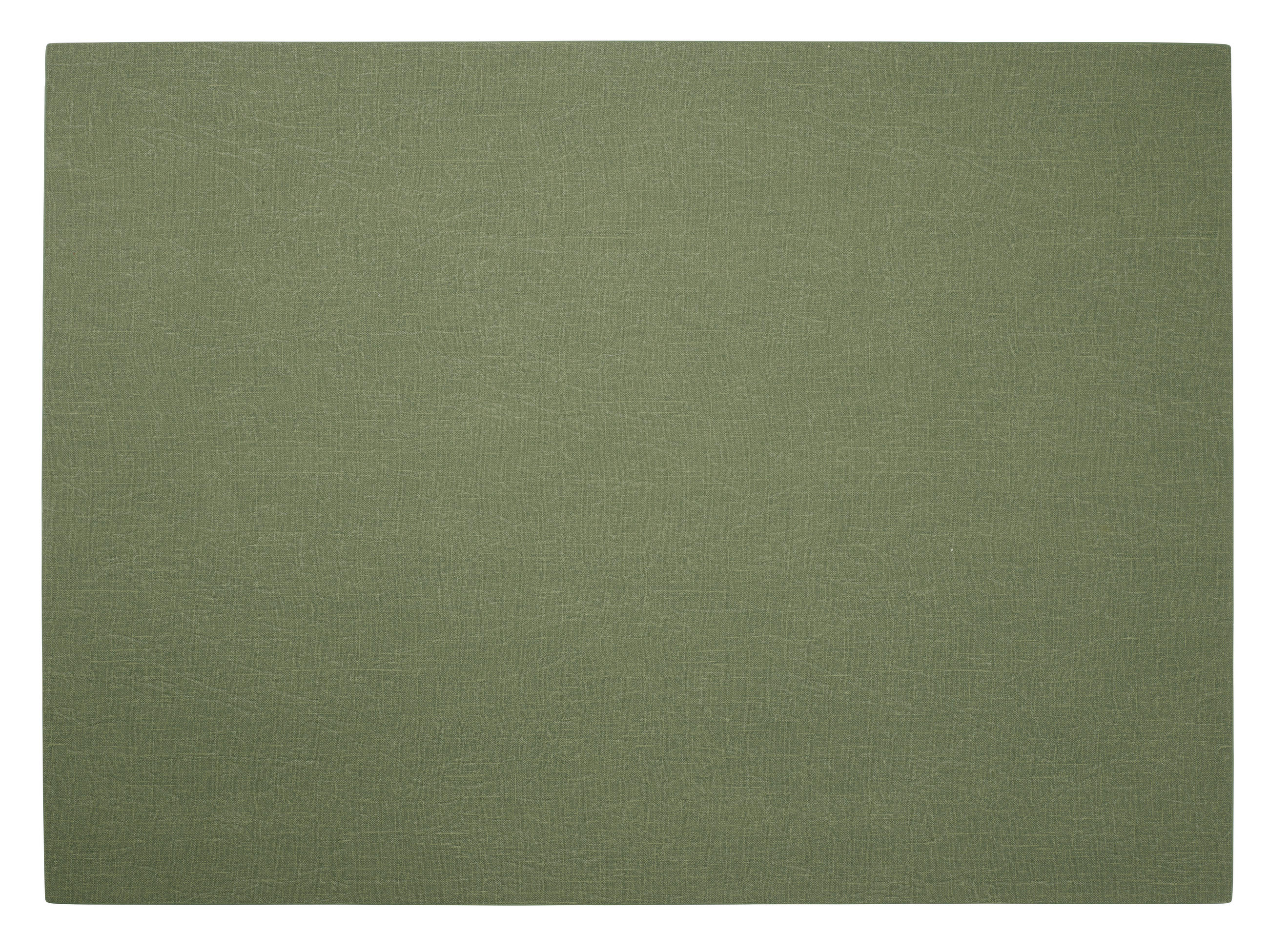 TISCHSET Structured optic Kunststoff Grün  - Grün, Basics, Kunststoff (46/33cm) - ASA