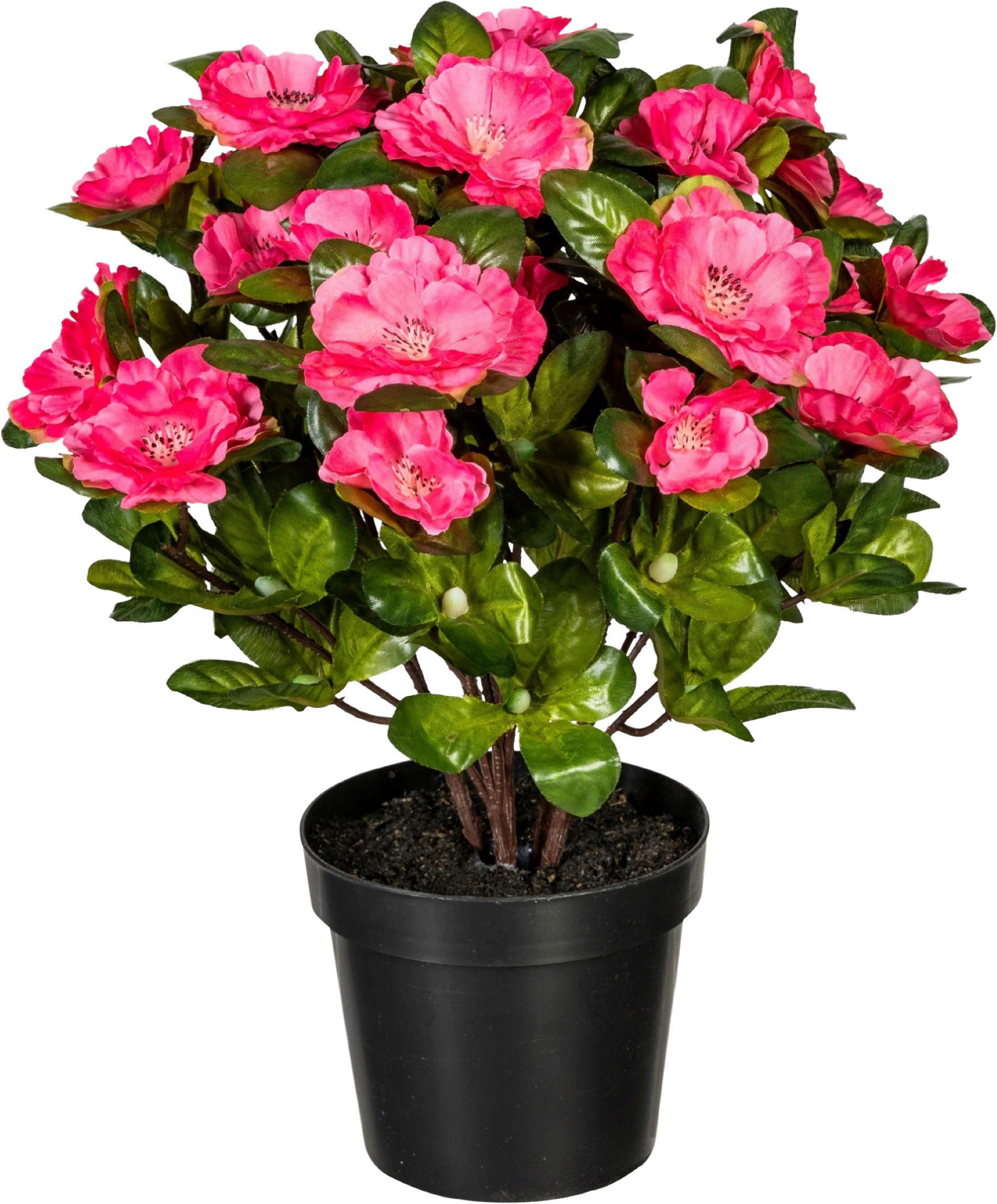 KUNSTPFLANZE 32 cm  - Dunkelrosa/Grün, Design, Kunststoff (32cm) - P & B