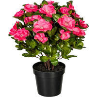 KUNSTPFLANZE 32 cm  - Dunkelrosa/Grün, Design, Kunststoff (32cm) - P & B