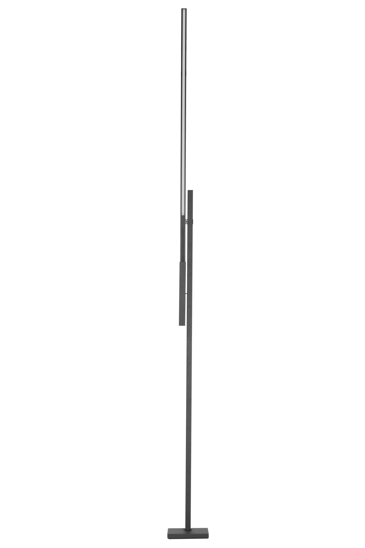LED-STEHLEUCHTE 27-150/19/162-248 cm    - Schwarz, Design, Metall (27-150/19/162-248cm) - Dieter Knoll