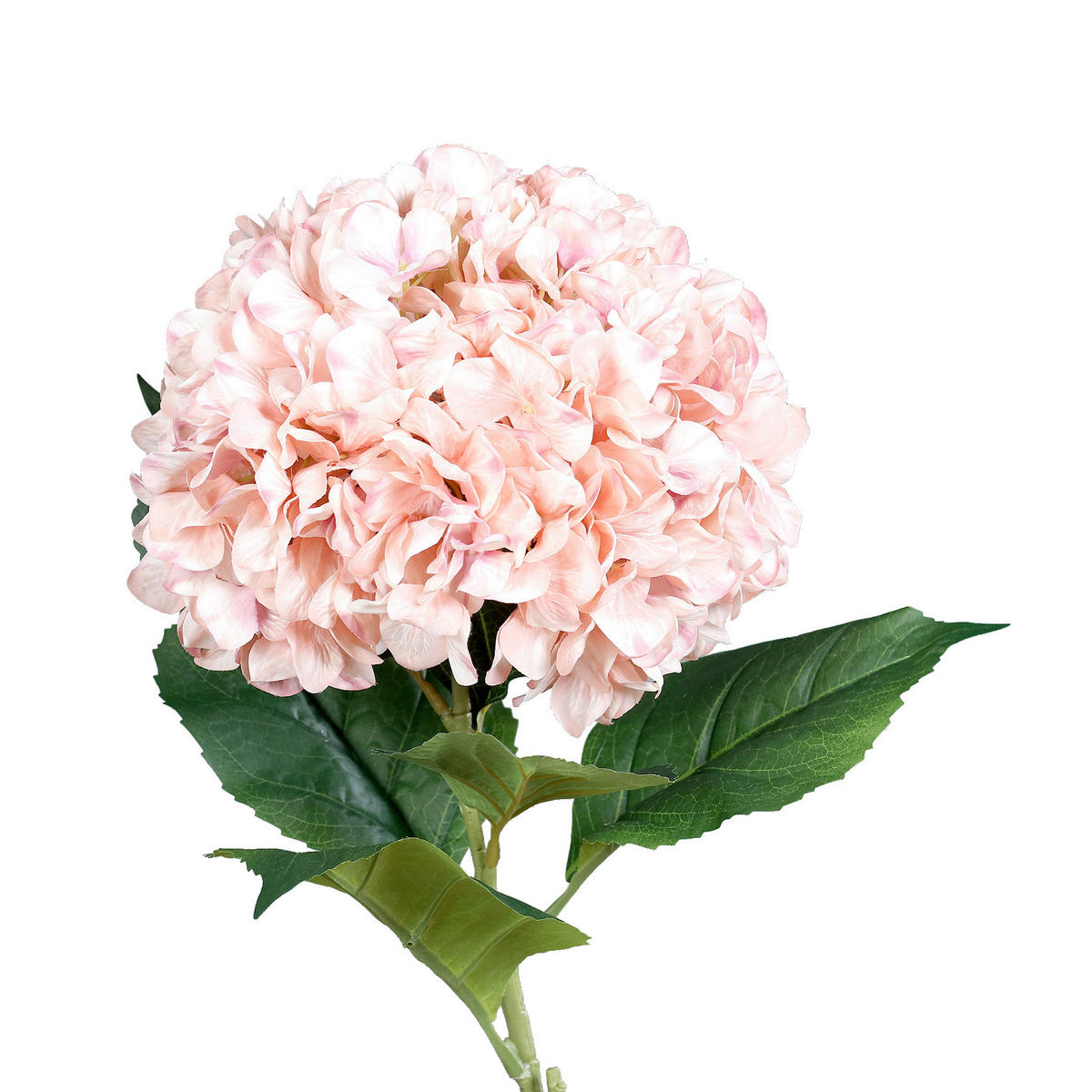 HORTENSIE - Hellrosa/Grün, Basics, Kunststoff/Textil (82cm)