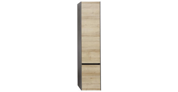 HOCHSCHRANK 37/168/33 cm - Dunkelgrau/Eichefarben, Design, Glas/Holzwerkstoff (37/168/33cm) - Dieter Knoll