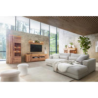 DNEVNI REGAL,  barve hrasta  - barve hrasta/antracit, Moderno, kovina/steklo (295/208/50cm) - Hom`in