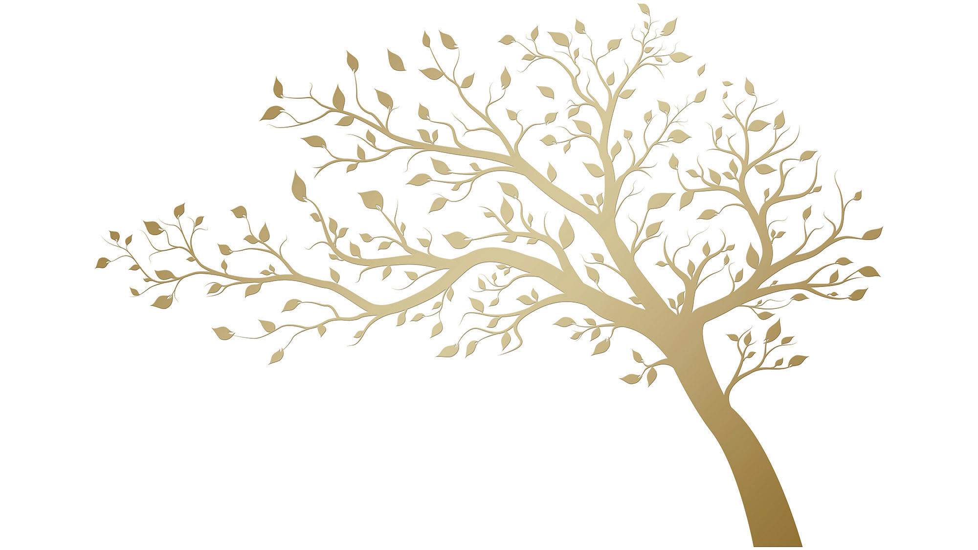 WANDTATTOO  50/70/0,10 cm    - Multicolor, Basics, Kunststoff (50/70/0,10cm)