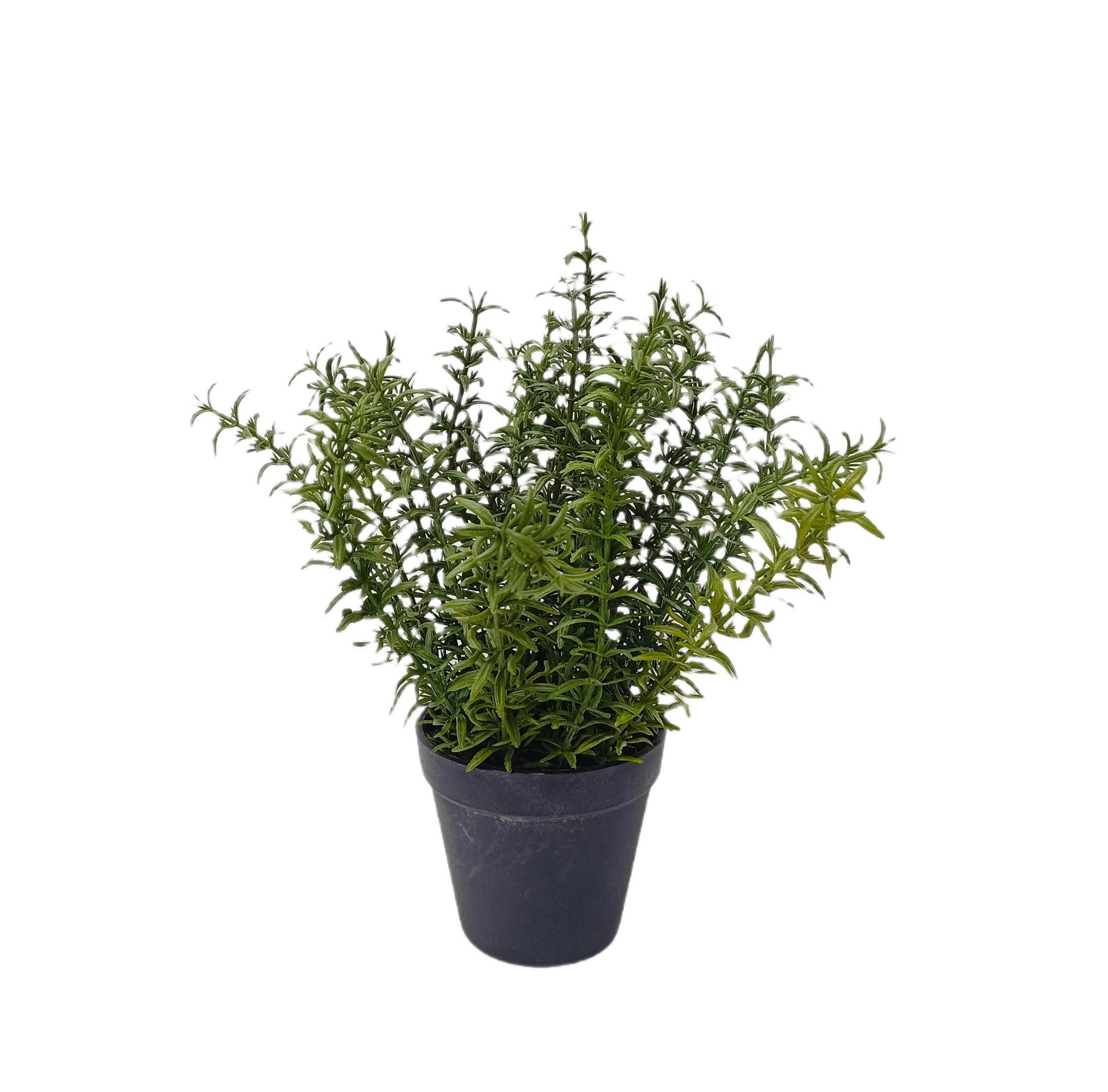 XXXLutz Kunstblume Grün