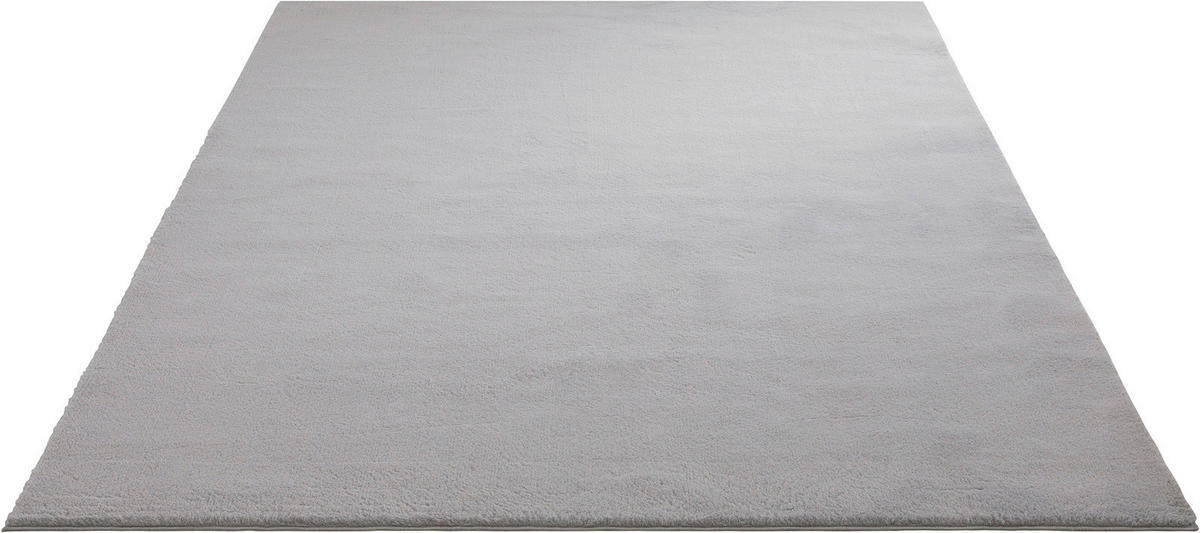 WEBTEPPICH  Wohnzimmer 60/120 cm Fiona Hellgrau rechteckig  - Hellgrau, KONVENTIONELL, Textil (60/120cm) - Novel