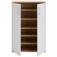 SCHUHSCHRANK 70/106/33,4 cm  - Alufarben/Weiß, KONVENTIONELL, Holzwerkstoff/Kunststoff (70/106/33,4cm) - Xora