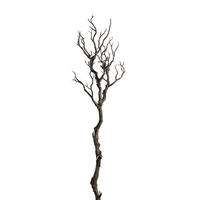 DEKOZWEIG - Braun, Basics, Kunststoff (10,00/76,00/10,00cm) - Leonardo