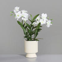 PFLANZENTOPF - Grün, Basics, Kunststoff (45cm)