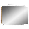 SPIEGELSCHRANK 100/67/17 cm  - Chromfarben/Eichefarben, KONVENTIONELL, Glas/Holzwerkstoff (100/67/17cm) - Pelipal