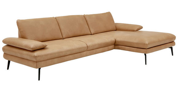 ECKSOFA Honig Echtleder  - Schwarz/Honig, Design, Leder/Metall (310/180cm) - Dieter Knoll