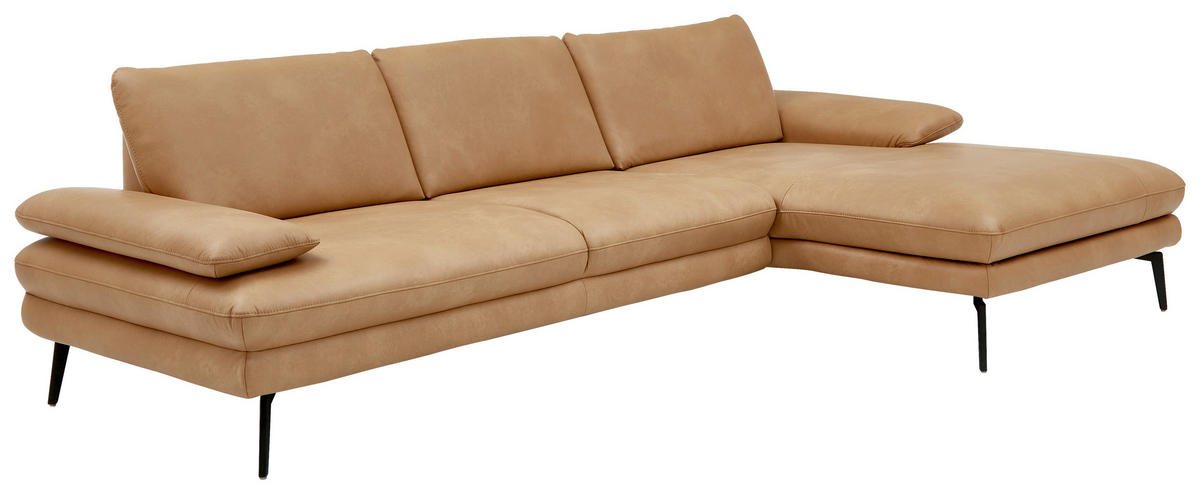 ECKSOFA Honig Echtleder  - Schwarz/Honig, Design, Leder/Metall (310/180cm) - Dieter Knoll