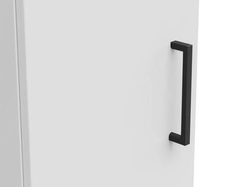 VÍCEÚČELOVÁ SKŘÍŇ, bílá, 30/195/40 cm - bílá/černá, Moderní, kompozitní dřevo/plast (30/195/40cm) - Carryhome