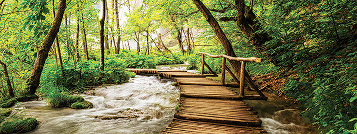 LEINWANDBILD Landschaft & Natur  - Multicolor, Natur, Holz/Papier (80/30/3cm)