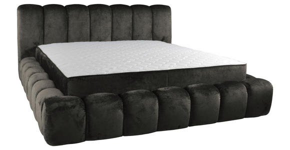 POLSTERBETT Lattenrost, Bettkasten Graphitfarben 160/200 cm  - Birkefarben/Schwarz, Trend, Holz/Kunststoff (160/200cm) - Esposa