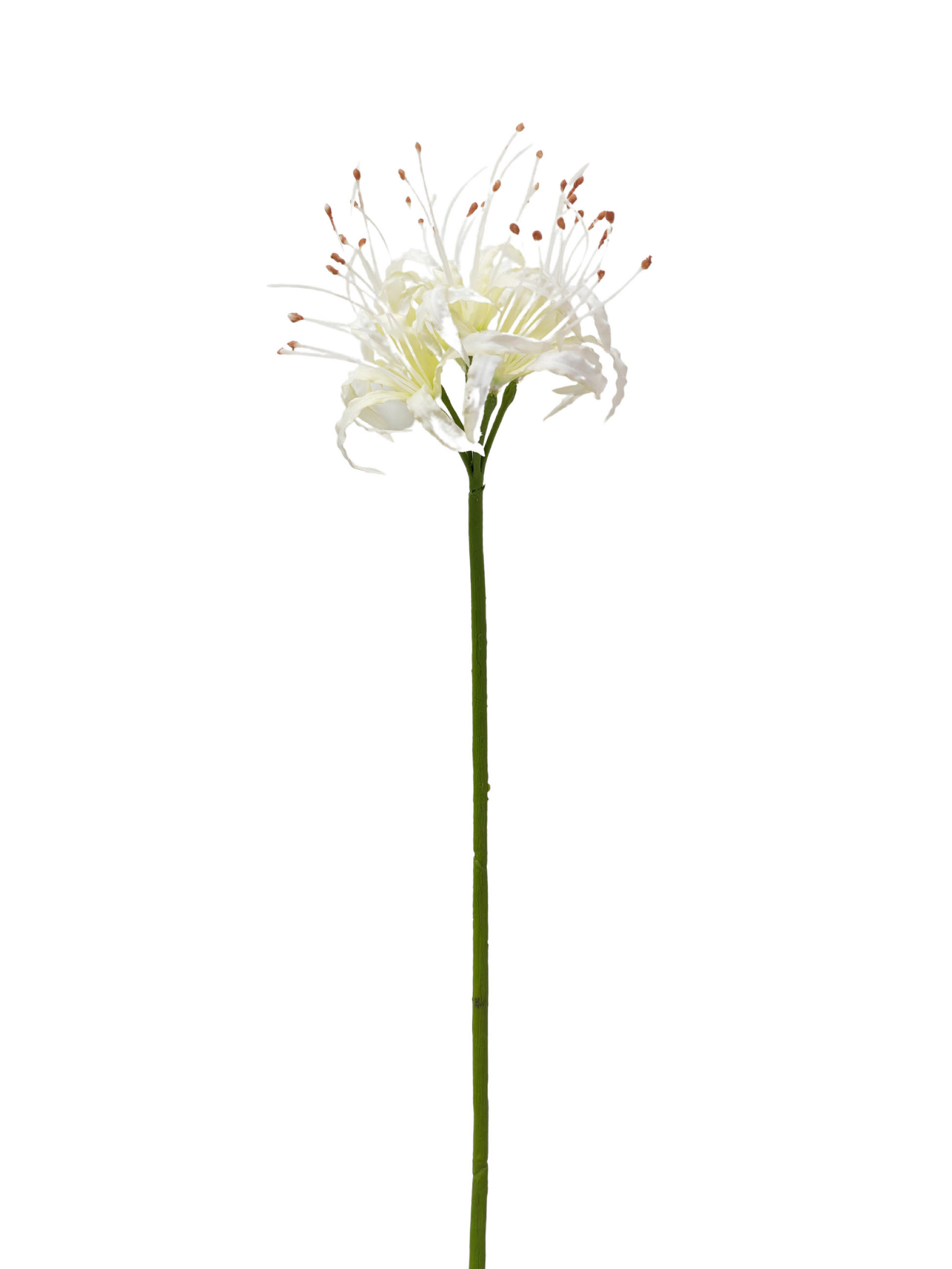 KUNSTBLUME  - Creme/Weiß, Basics, Kunststoff (89cm)